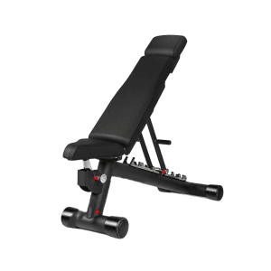 Adjustable Training Bench
