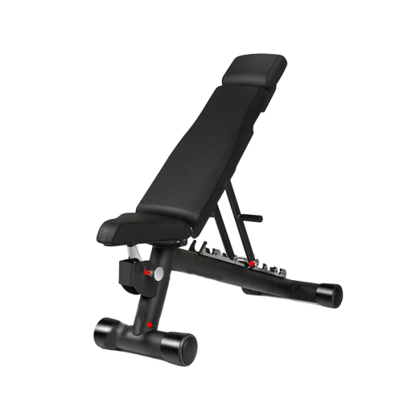 可调节训练椅 Adjustable Training Bench